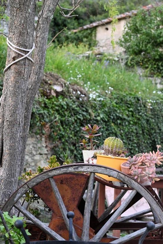 Agriturismo Casamatta Azienda Agricola Calenzano Exterior photo